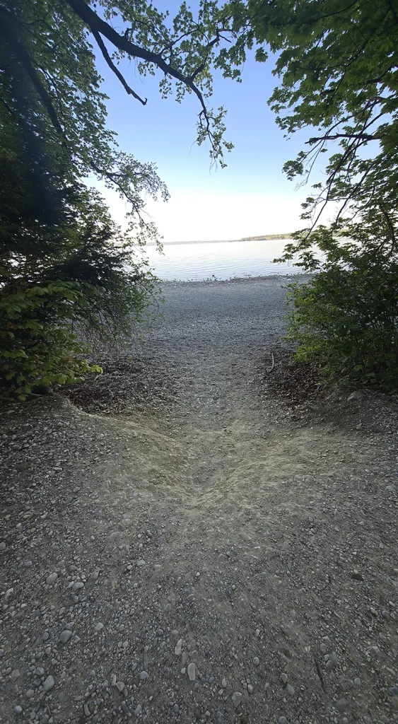 Ein schmaler, naturbelassener Pfad führt durch dichtes Grün und über einen steinigen Untergrund direkt an ein ruhiges Seeufer – im Hintergrund glitzert das Wasser unter hellem Himmel, eingerahmt von überhängenden Ästen.