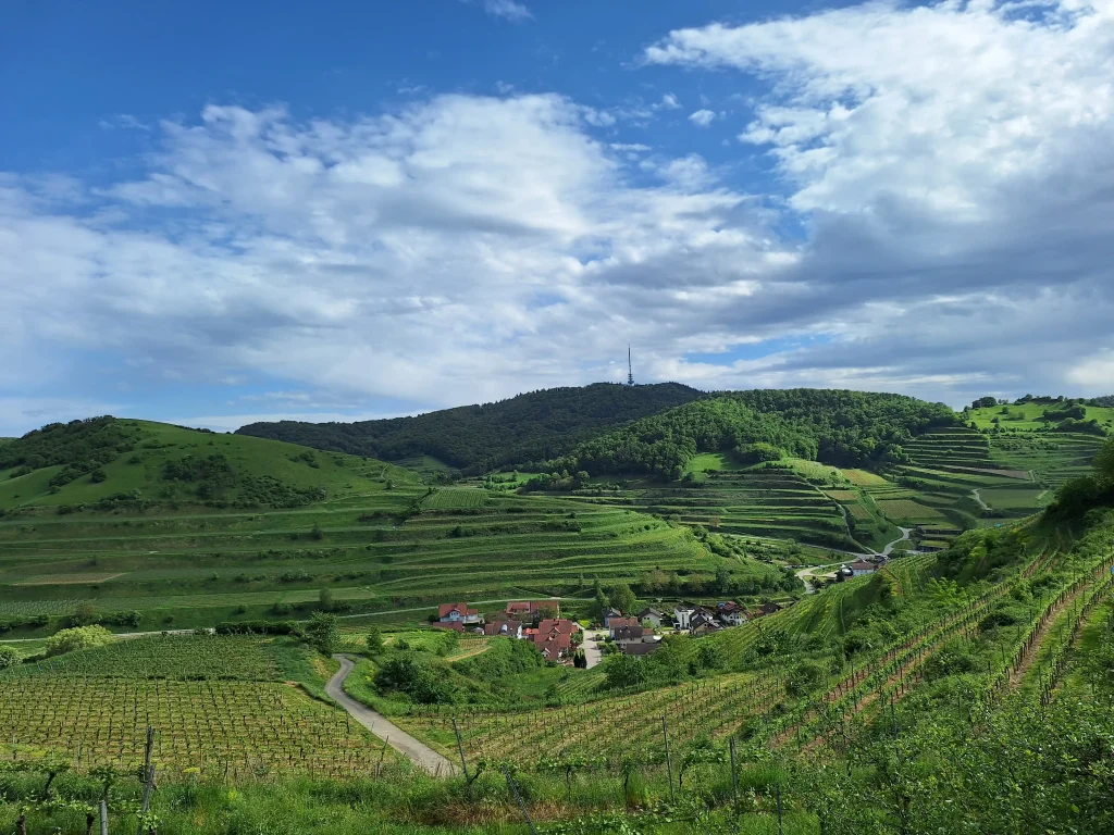 Landschaftsbild am Kaiserstuhl bei einer Wanderung