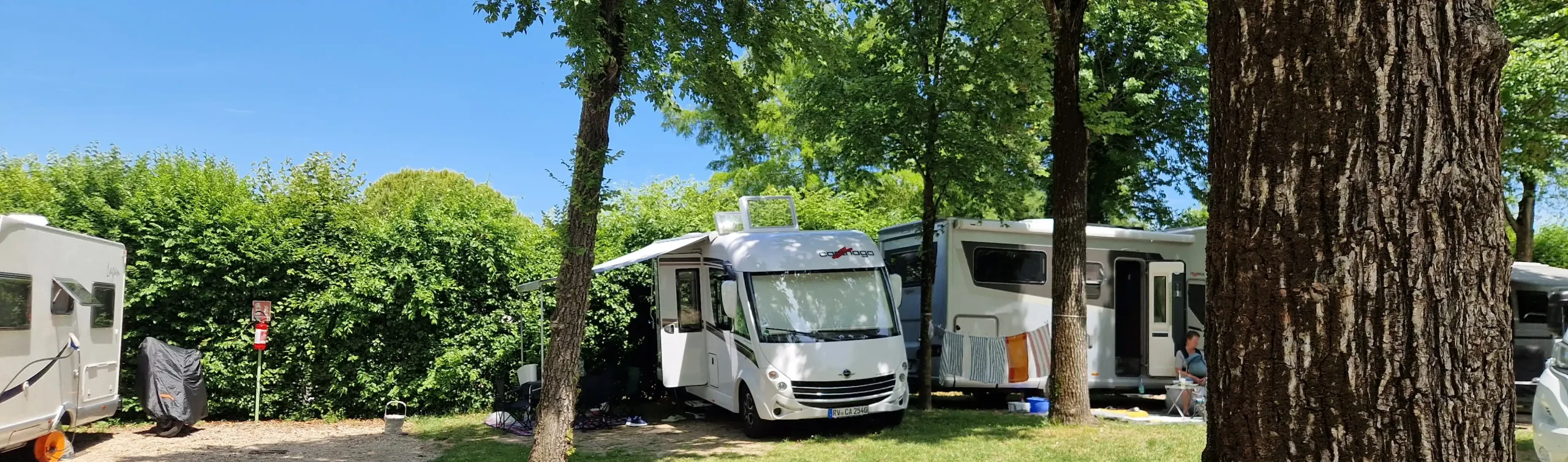 Carthago c-compactline steht auf einem Campingplatz am Gardasee